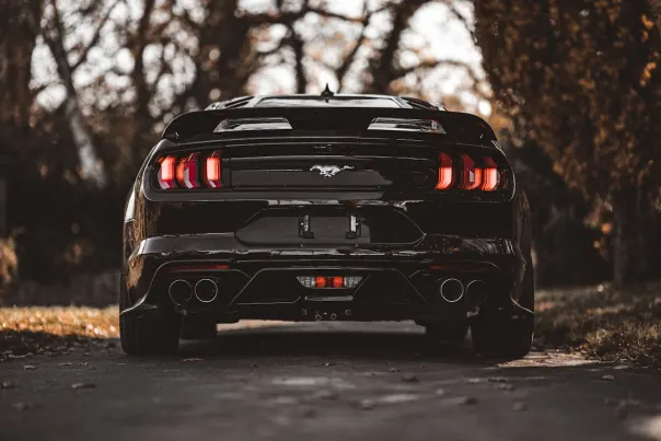 Cazino Posh Bingo Cazinou Aplicație Android/iOS